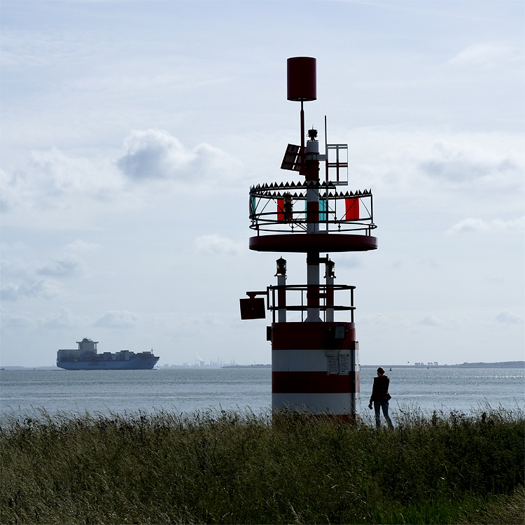 Schiffe Holland 6 - 2013 _SAM_1643 als Smart-Objekt-1 Kopie.jpg - Direkt vor unserer Nase verkehren hier die Riesenpötte von und nach Antwerpen